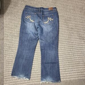 Maurices Blue‎ Flare & Wide Leg Jeans